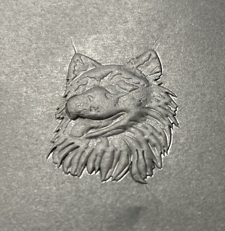 Automatyczna maszyna do pieczętowania folii na gorąco do pełnej gamy papieru opakowaniowego, pieczętowania kolorów